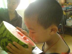 瓦大西吃大瓜,瓦大西的奇妙大瓜之旅