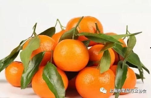 橘子奶奶吃瓜,一场甜蜜的吃瓜之旅