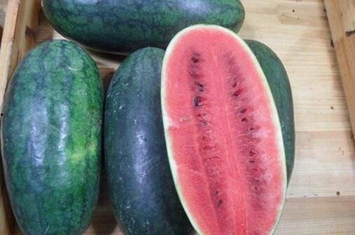 山东圣翰吃瓜,吃瓜群众的欢乐盛宴