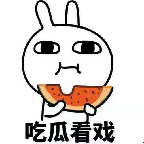 看戏吃瓜全文,揭秘娱乐圈背后的故事与真相