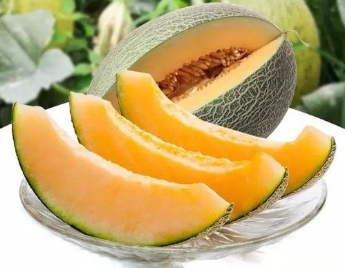 瓜州县发生的吃瓜事件是什么,一场引发社会关注的误会风波