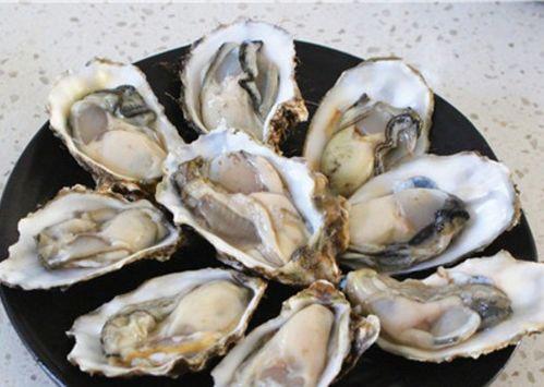 蚝仙灵吃瓜,揭秘美食背后的趣味故事