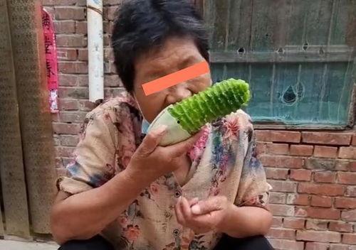 吃瓜小型老奶奶,一位吃瓜小型老奶奶的日常