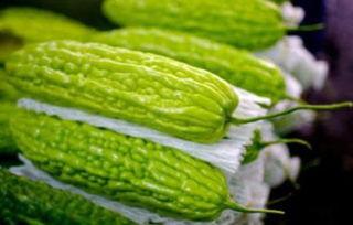 孕妇吃长瓜,长瓜助力母婴健康