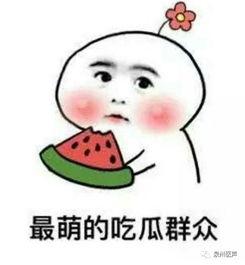 小说全员吃瓜吃疯了,一场小说世界的吃瓜盛宴