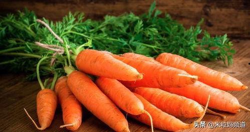 吃瓜的胡萝卜,揭秘瓜果与蔬菜的奇妙融合