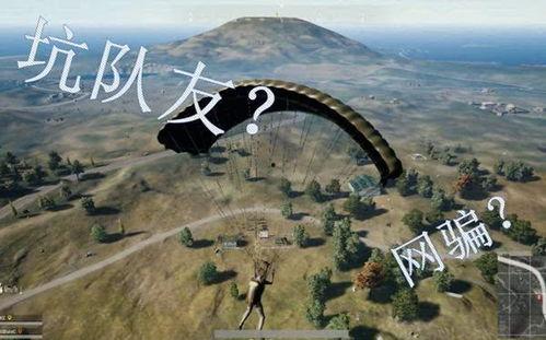 吃鸡吃瓜处cp,甜蜜CP诞生记