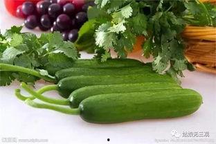 12个视频吃瓜,12个视频带你领略吃瓜界的风云变幻