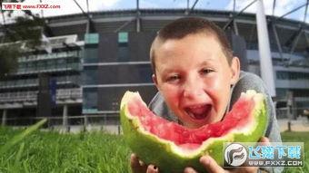 表情包男孩吃瓜视频在线观看,表情包引发网友热议