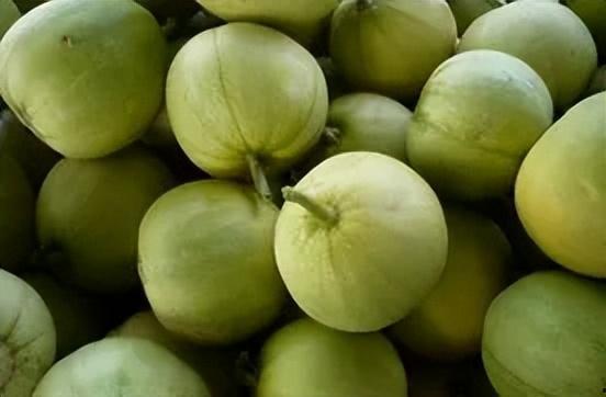 香瓜吃瓜视频网站下载,热门下载内容盘点